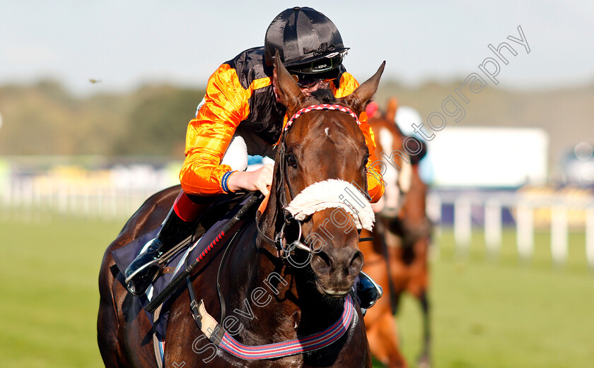 Saaheq-0006 
 SAAHEQ (David Egan) wins The 1stsecuritysolutions.co.uk Handicap
Doncaster 12 Sep 2018 - Pic Steven Cargill / Racingfotos.com