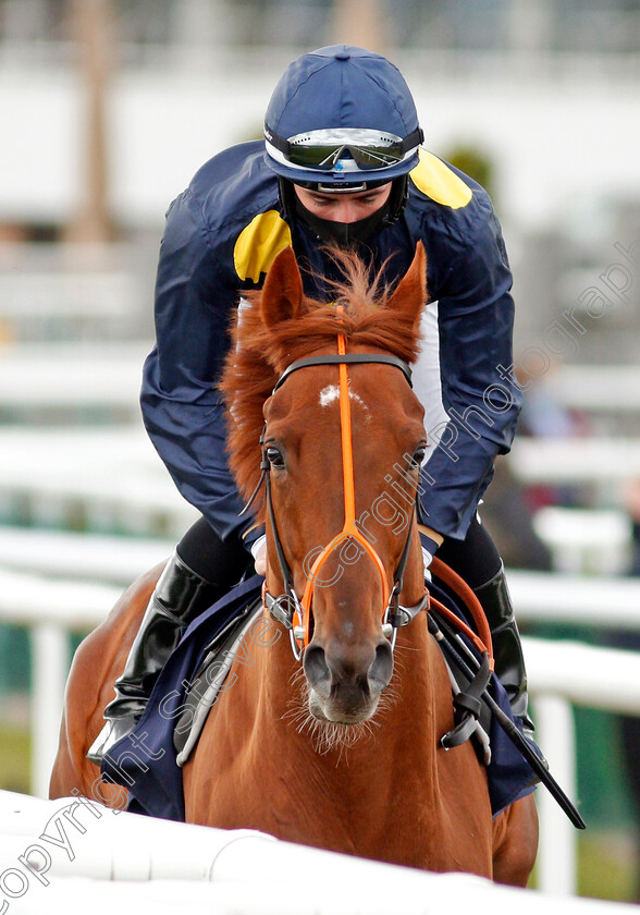 Soundslikethunder-0002 
 SOUNDSLIKETHUNDER (Rossa Ryan) winner of The Unibet Novice Stakes Div2
Doncaster 28 Mar 2021 - Pic Steven Cargill / Racingfotos.com