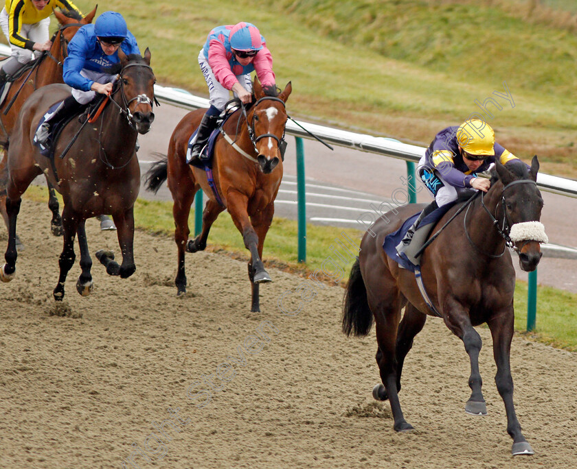 Dancing-Brave-Bear-0006 
 DANCING BRAVE BEAR (Stevie Donohoe) wins The 32Red Casino EBF Fillies Novice Stakes Lingfield 20 Dec 2017 - Pic Steven Cargill / Racingfotos.com