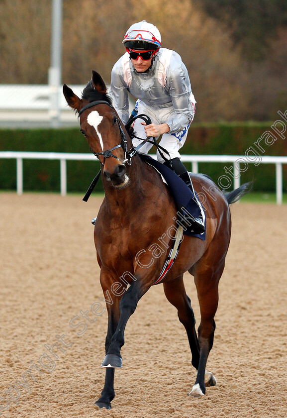 Say-Nothing-0002 
 SAY NOTHING (Fran Berry)
Wolverhampton 28 Nov 2018 - Pic Steven Cargill / Racingfotos.com