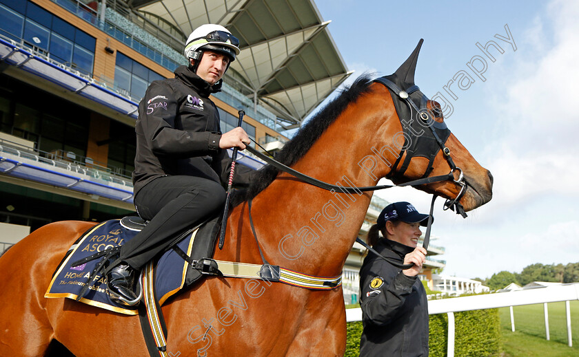 Home-Affairs-0010 
 HOME AFFAIRS - Australia to Ascot, preparing for the Royal Meeting.
Ascot 10 Jun 2022 - Pic Steven Cargill / Racingfotos.com