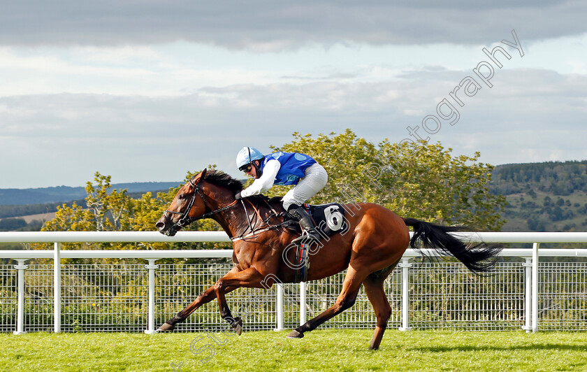 Rafiot-0003 
 RAFIOT (Ellie Vaughan) wins The Gay Kindersley Amateur Jockeys' Handicap Div2
Goodwood 30 Aug 2020 - Pic Steven Cargill / Racingfotos.com