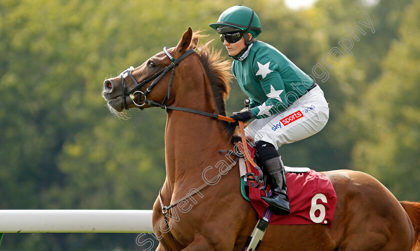 Golden-Bullet-0002 
 GOLDEN BULLET (Hollie Doyle)
Haydock 2 Sep 2022 - Pic Steven Cargill / Racingfotos.com