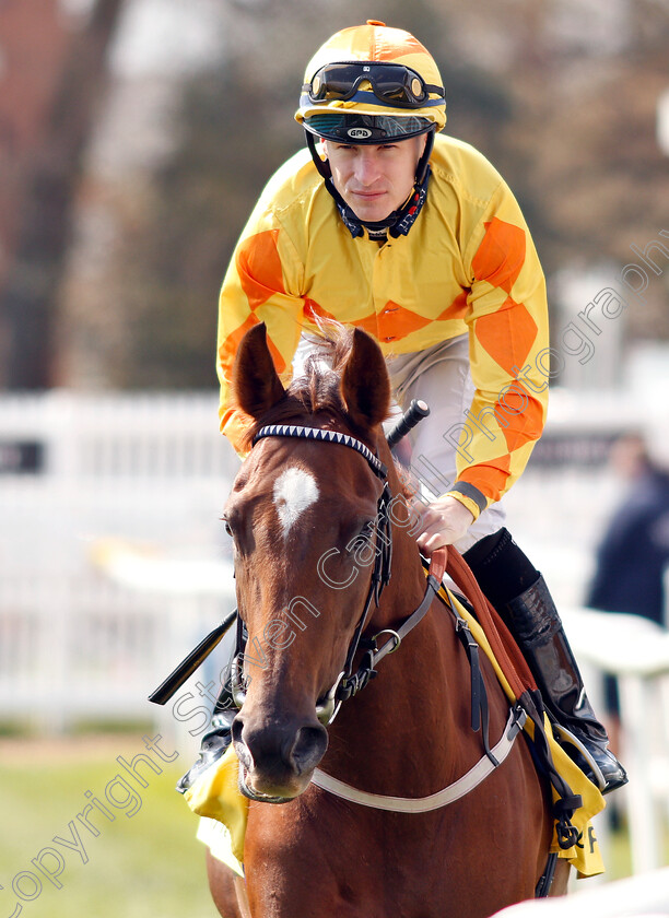 Iconic-Choice-0001 
 ICONIC CHOICE (Richard Kingscote)
Newbury 13 Apr 2019 - Pic Steven Cargill / Racingfotos.com