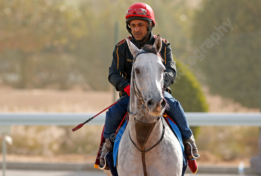 Dark-Power-0002 
 DARK POWER preparing for the Saudi Cup
Riyadh Racetrack, Kingdom of Saudi Arabia 27 Feb 2020 - Pic Steven Cargill / Racingfotos.com