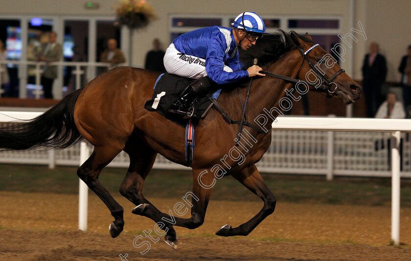 Nazeef-0006 
 NAZEEF (Jim Crowley) wins The Bet In Play At totesport.com Novice Stakes
Chelmsford 4 Sep 2019 - Pic Steven Cargill / Racingfotos.com