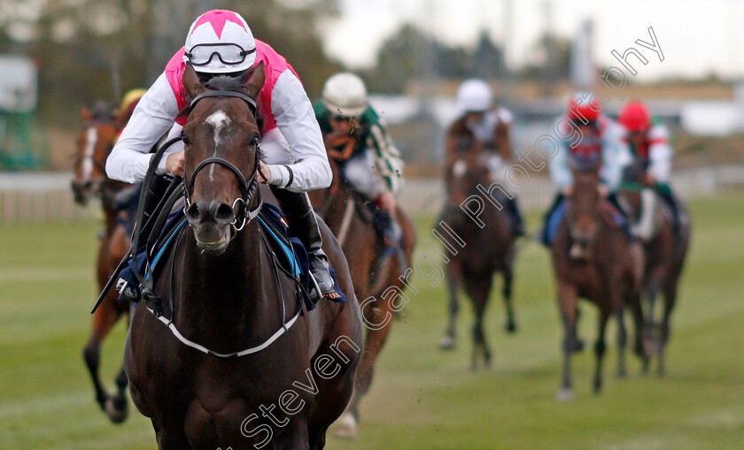 Square-De-Luynes-0008 
 SQUARE DE LUYNES (Robert Havlin) wins The Stockholm Cup International
Bro Park, Sweden 22 Sep 2019 - Pic Steven Cargill / Racingfotos.com