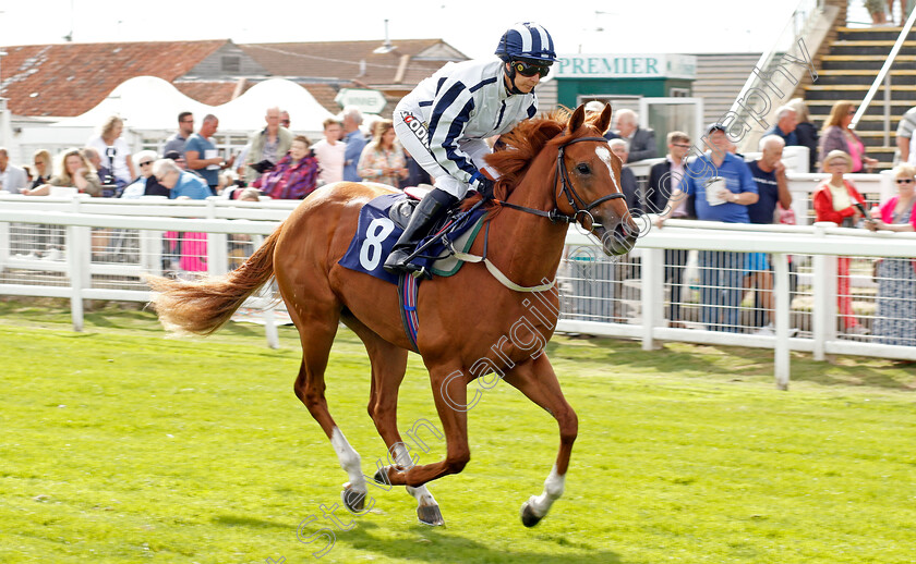 Rewilding-0001 
 REWILDING (Hayley Turner)
Yarmouth 13 Sep 2022 - Pic Steven Cargill / Racingfotos.com