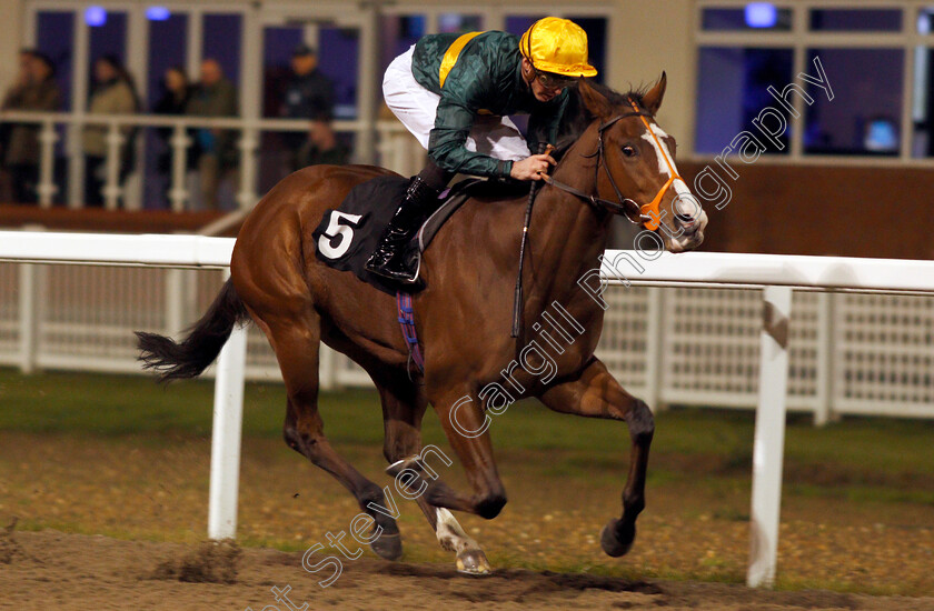 Exhibit-0005 
 EXHIBIT (James Doyle) wins The Bet At totesport.com Fillies Novice Stakes Div1
Chelmsford 25 Nov 2019 - Pic Steven Cargill / Racingfotos.com