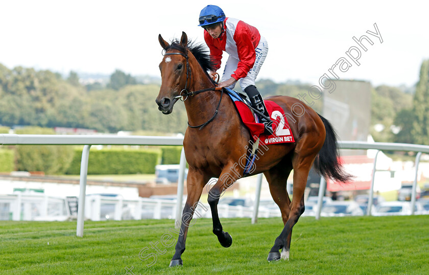 Potapova-0002 
 POTAPOVA (Ryan Moore)
Sandown 2 Sep 2023 - Pic Steven Cargill / Racingfotos.com