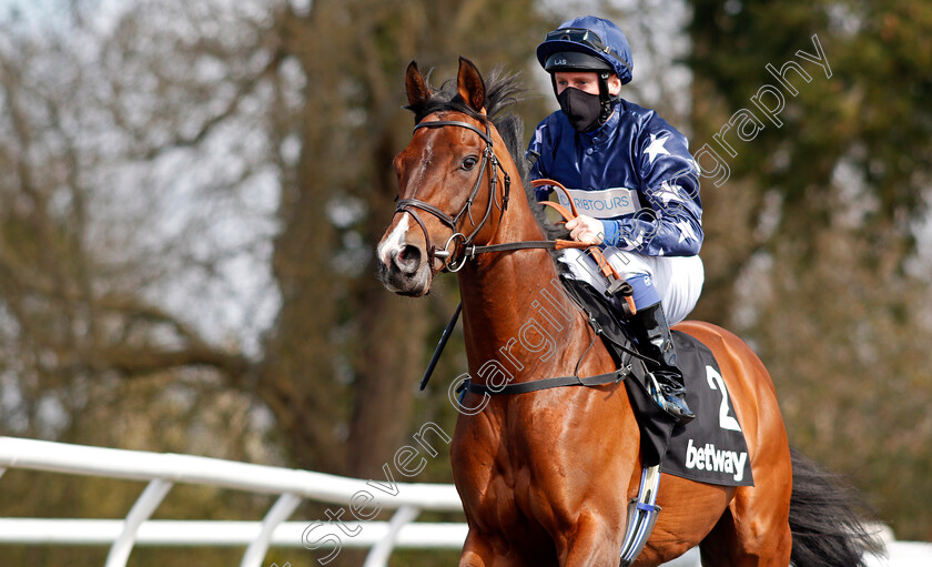 Island-Brave-0001 
 ISLAND BRAVE (Martin Dwyer)
Lingfield 2 Apr 2021 - Pic Steven Cargill / Racingfotos.com