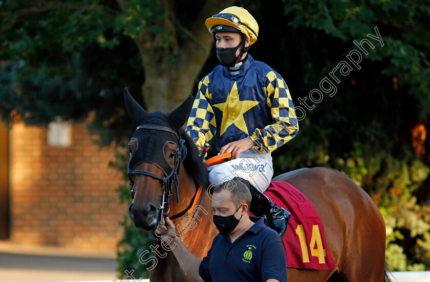 Waltzing-Home-0001 
 WALTZING HOME (William Carver)
Kempton 18 Aug 2020 - Pic Steven Cargill / Racingfotos.com