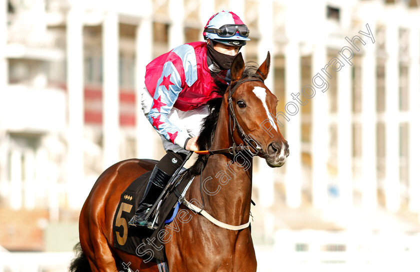 Lady-Morgana-0002 
 LADY MORGANA (Richard Kingscote)
Nottingham 4 Nov 2020 - Pic Steven Cargill / Racingfotos.com