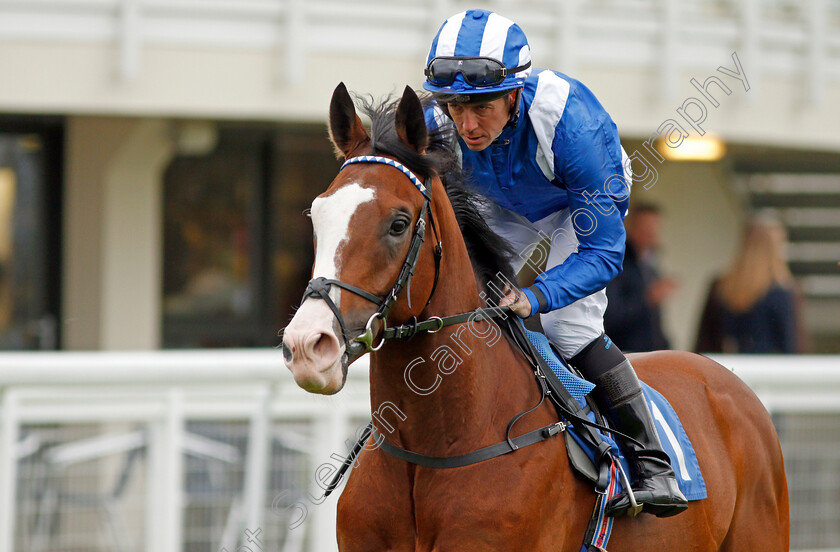 Almoghared-0003 
 ALMOGHARED (Jim Crowley) Salisbury 29 Apr 2018 - Pic Steven Cargill / Racingfotos.com