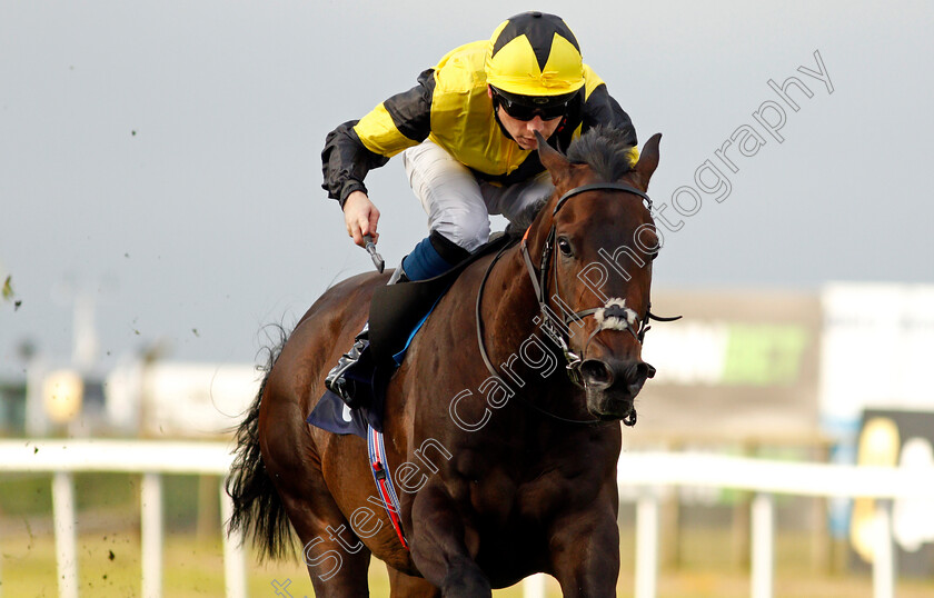 Desert-Gulf-0006 
 DESERT GULF (Callum Shepherd) wins The Quinnbet Acca Bonus Handicap
Yarmouth 14 Jul 2021 - Pic Steven Cargill / Racingfotos.com