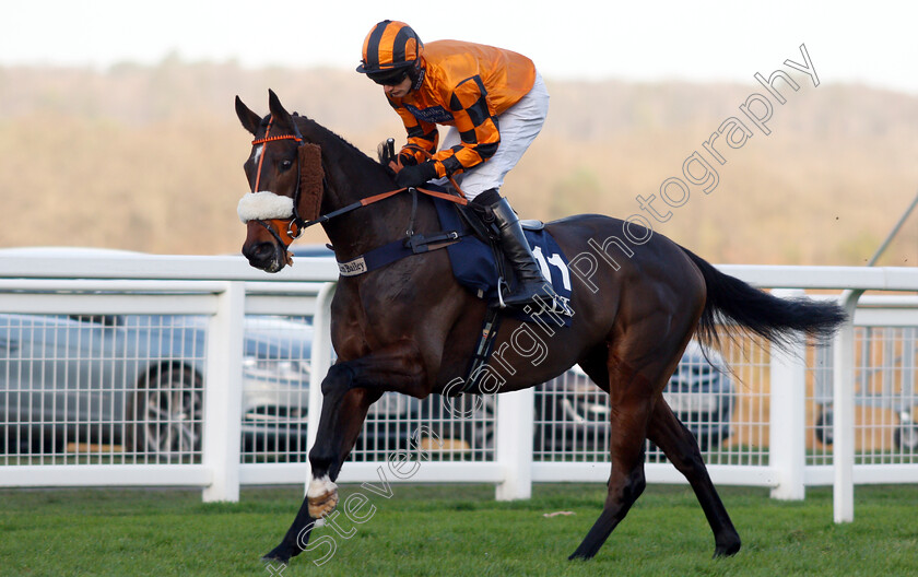 Younevercall-0001 
 YOUNEVERCALL (David Bass)
Ascot 22 Dec 2018 - Pic Steven Cargill / Racingfotos.com