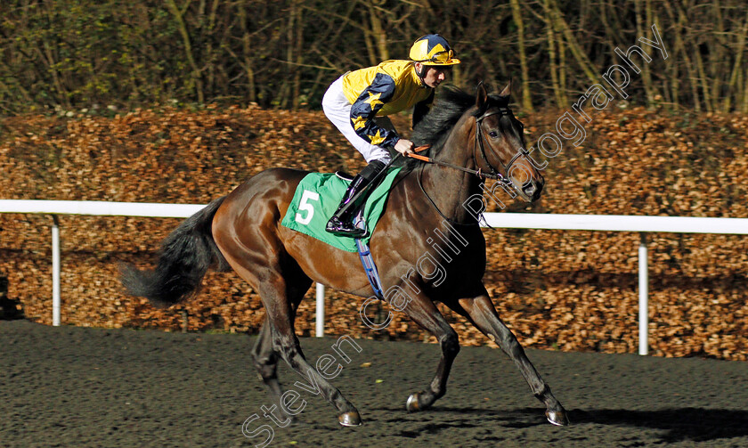 Eastern-General-0001 
 EASTERN GENERAL (Callum Shepherd)
Kempton 19 Feb 2020 - Pic Steven Cargill / Racingfotos.com