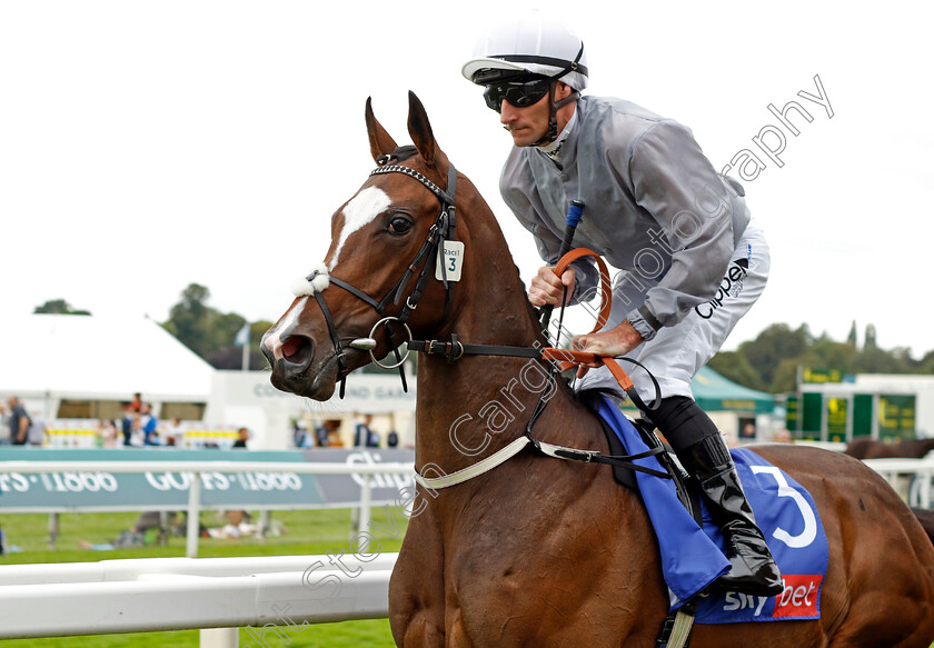 Dorothy-Lawrence-0002 
 DOROTHY LAWRENCE (Daniel Tudhope)
York 24 Aug 2023 - Pic Steven Cargill / Racingfotos.com