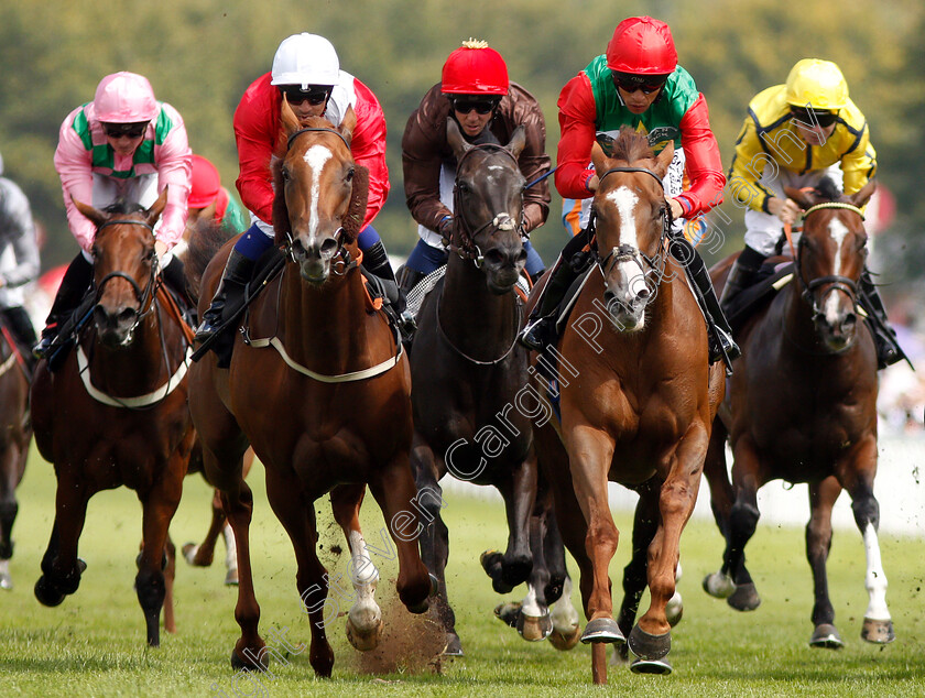 Billesdon-Brook-0004 
 BILLESDON BROOK (right, Sean Levey) beats PERFECTION (left) in The Theo Fennell Oak Tree Stakes
Goodwood 2 Aug 2019 - Pic Steven Cargill / Racingfotos.com