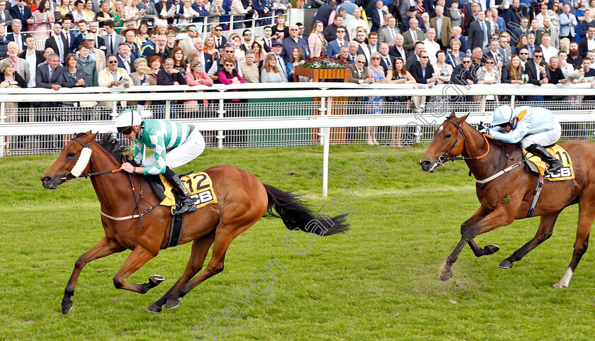 Firmament-0003 
 FIRMAMENT (James Doyle) beats ADMIRALTY (right) in The JCB Handicap
York 15 Jun 2019 - Pic Steven Cargill / Racingfotos.com