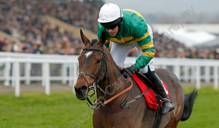 Defi-Du-Seuil-0008 
 DEFI DU SEUIL (Barry Geraghty) wins The Shloer Chase
Cheltenham 17 Nov 2019 - Pic Steven Cargill / Racingfotos.com