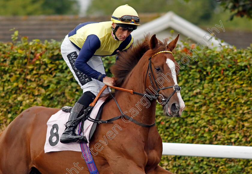 Navid-0001 
 NAVID (Trevor Whelan)
Kempton 6 Sep 2024 - Pic Steven Cargill / Racingfotos.com