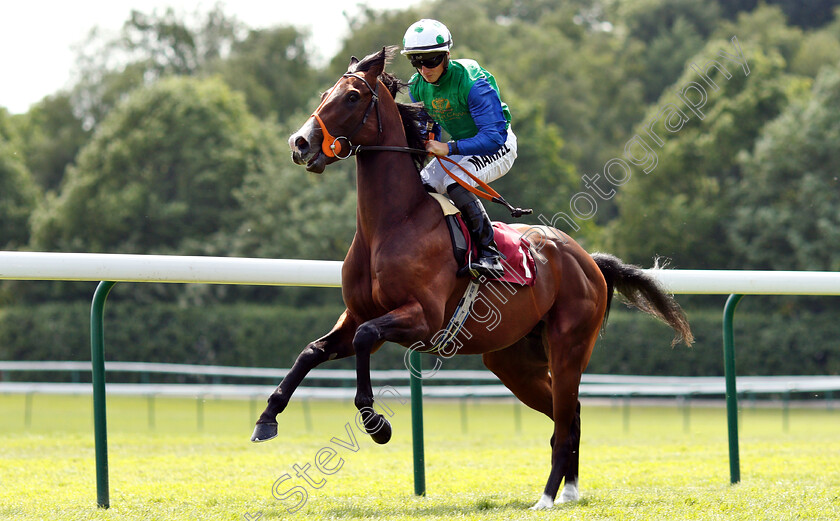 Barraquero-0001 
 BARRAQUERO (Tom Marquand)
Haydock 26 May 2018 - Pic Steven Cargill / Racingfotos.com