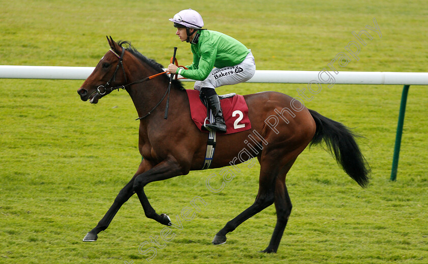 Arthur-Kitt-0001 
 ARTHUR KITT (Richard KIngscote) before winning The Best Odds Guaranteed At 188bet British EBF Novice Stakes
Haydock 25 May 2018 - Pic Steven Cargill / Racingfotos.com