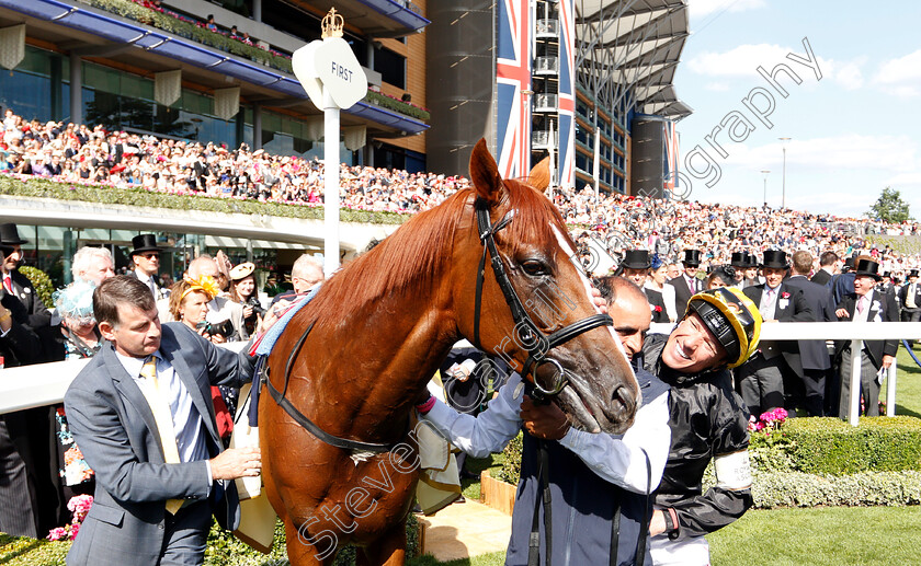 Stradivarius-0018 
 STRADIVARIUS (Frankie Dettori) after The Gold Cup
Royal Ascot 21 Jun 2018 - Pic Steven Cargill / Racingfotos.com