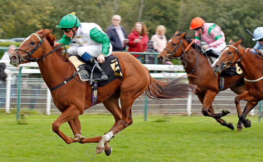 Zebelle-0002 
 ZEBELLE (William Buick) wins The Anderson Green Nursery
Nottingham 13 Oct 2021 - Pic Steven Cargill / Racingfotos.com