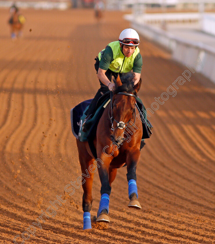 Mishriff-0005 
 MISHRIFF training for the Saudi Cup
King Abdulaziz Racetrack, Riyadh, Saudi Arabia 24 Feb 2022 - Pic Steven Cargill / Racingfotos.com