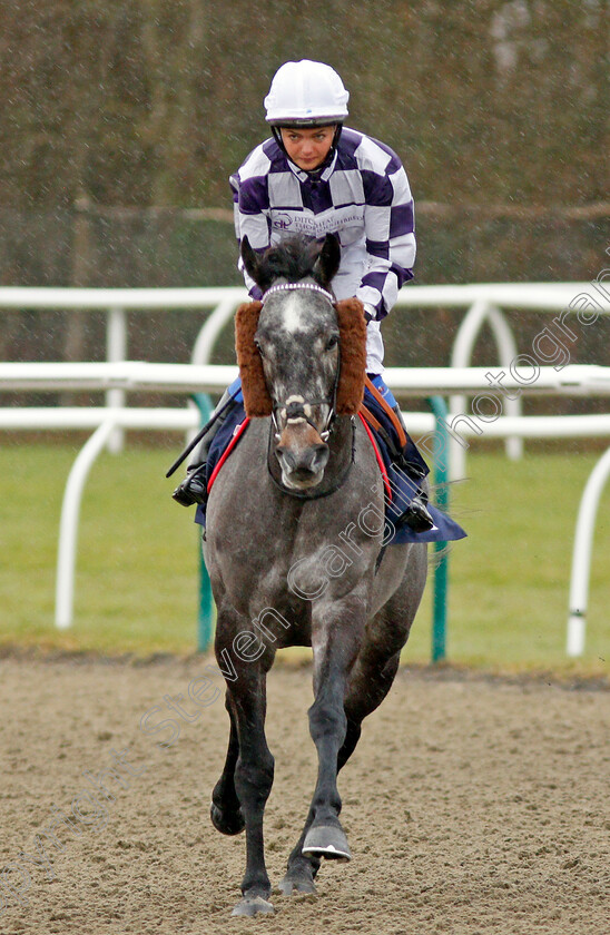 Volpone-Jelois-0001 
 VOLPONE JELOIS (Megan Nicholls) Lingfield 13 Dec 2017 - Pic Steven Cargill / Racingfotos.com