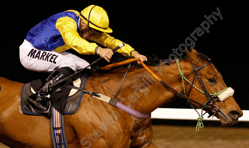 Cashel-0006 
 CASHEL (Tom Marquand) wins The Bet totescoop6 At totesport.com Handicap
Chelmsford 21 Feb 2019 - Pic Steven Cargill / Racingfotos.com