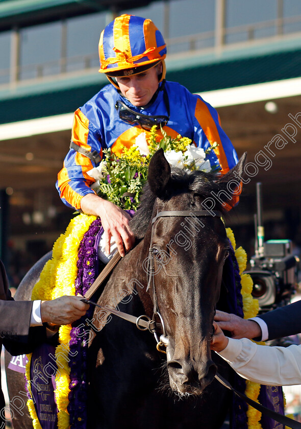 Meditate-0009 
 MEDITATE (Ryan Moore) after the Breeders' Cup Juvenile Fillies Turf 
Breeders Cup Meeting, Keeneland USA, 4 Nov 2022 - Pic Steven Cargill / Racingfotos.com