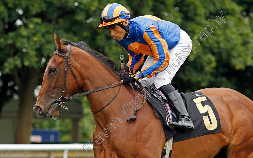 Lake-Victoria-0006 
 LAKE VICTORIA (Sean Levey) winner of The Jenningsbet Sweet Solera Stakes
Newmarket 10 Aug 2024 - Pic Steven Cargill / Racingfotos.com