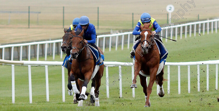 Masar-0004 
 MASAR (right, Brett Doyle) working at 6am
Newmarket 30 Jun 2018 - Pic Steven Cargill / Racingfotos.com