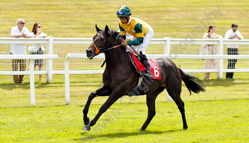 Glorious-Dane-0001 
 GLORIOUS DANE (Sean Levey)
Sandown 15 Jun 2018 - Pic Steven Cargill / Racingfotos.com