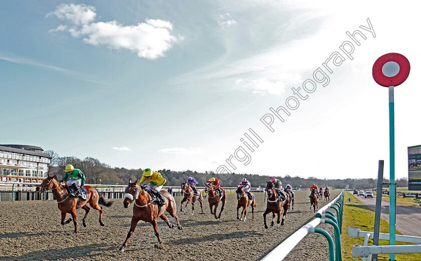 Master-Burbidge-0004 
 MASTER BURBIDGE (Jamie Spencer) wins The Betway Stayers Handicap Lingfield 16 Feb 2018 - Pic Steven Cargill / Racingfotos.com