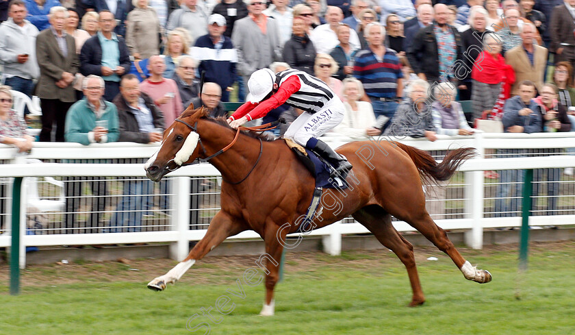 Mazzini-0001 
 MAZZINI (Oisin Murphy) wins The Infobond Personnel Services 25th Anniversary Handicap
Yarmouth 20 Sep 2018 - Pic Steven Cargill / Racingfotos.com