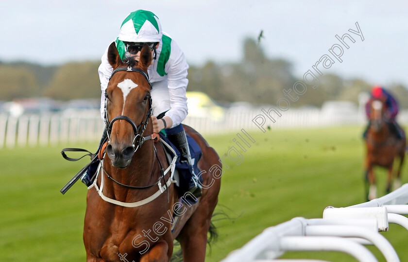 Green-Storm-0001 
 GREEN STORM (Billy Loughnane) wins The Get Raceday Ready Restricted Maiden Stakes
Yarmouth 17 Sep 2024 - Pic Steven Cargill / Racingfotos.com