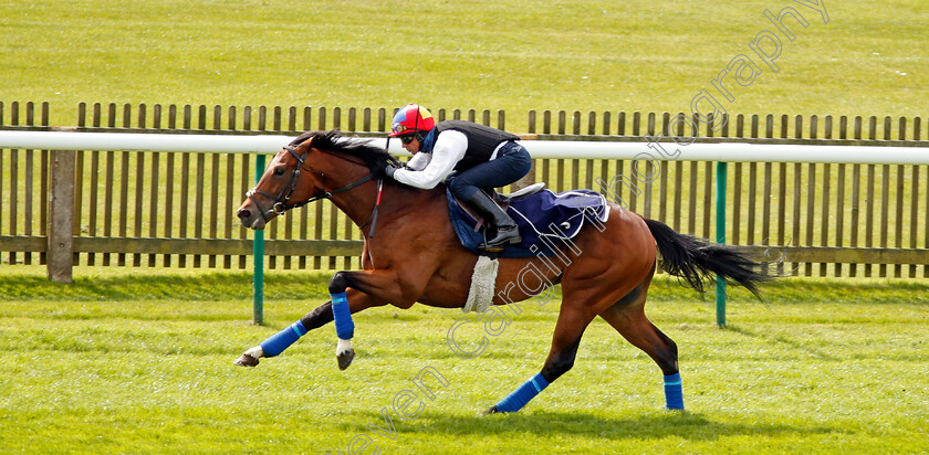 Cracksman-0004 
 CRACKSMAN (Frankie Dettori) galloping at Newmarket 17 Apr 2018 - Pic Steven Cargill / Racingfotos.com