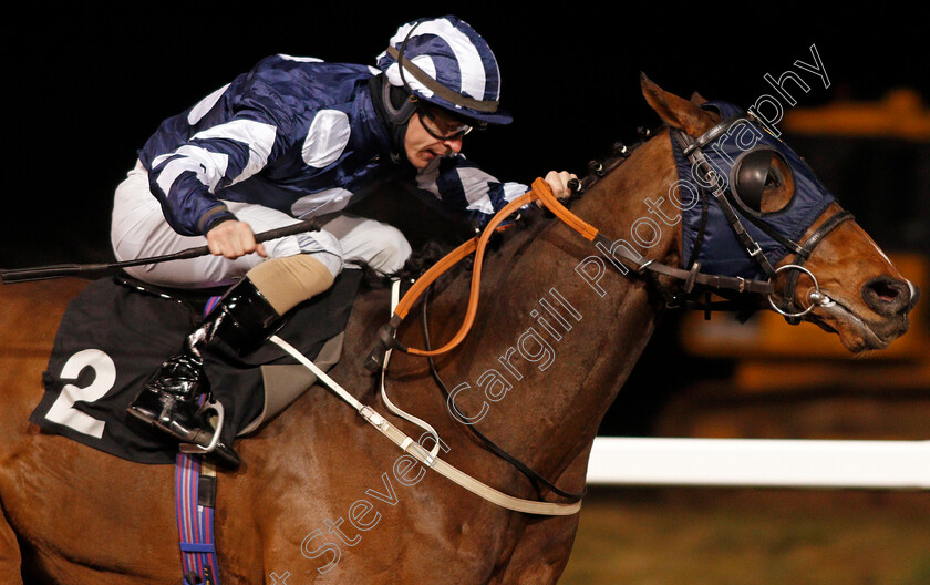 Thai-Terrier-0005 
 THAI TERRIER (Richard Kingscote) wins The chelmsfordcityracecourse Handicap
Chelmsford 22 Jan 2021 - Pic Steven Cargill / Racingfotos.com