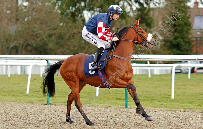 Mickey-Drippin-0001 
 MICKEY DRIPPIN (Richard Kingscote)
Lingfield 4 Jan 2020 - Pic Steven Cargill / Racingfotos.com