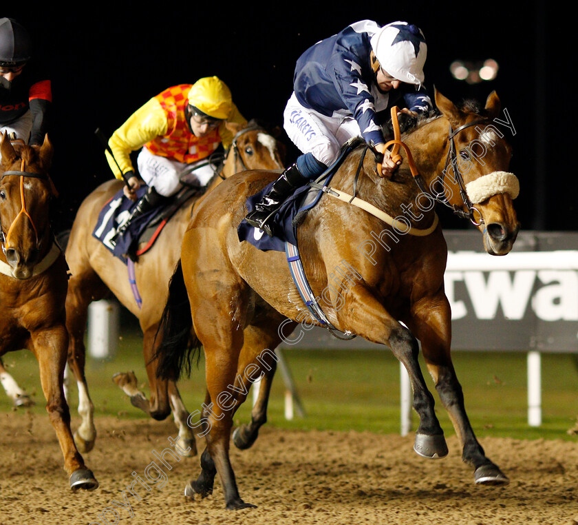 Lady-Of-York-0004 
 LADY OF YORK (Joey Haynes) wins The Heed Your Hunch At Betway Handicap Div2
Wolverhampton 24 Nov 2020 - Pic Steven Cargill / Racingfotos.com