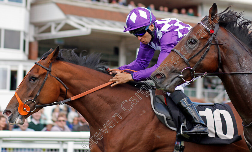 Orange-Suit-0006 
 ORANGE SUIT (Sean Levey) wins The British Stallion Studs EBF Maiden Stakes Div1 Newbury 22 Sep 2017 - Pic Steven Cargill / Racingfotos.com