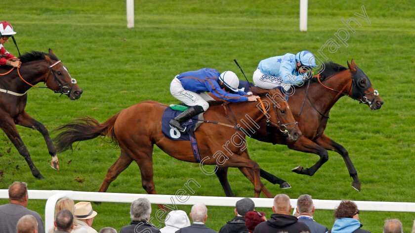 Dream-Pirate-0002 
 DREAM PIRATE (farside, Marco Ghiani) beats WHERE'S FREDDY (nearside) in The Drifters Fish & Chips Handicap
Yarmouth 21 Sep 2023 - Pic Steven Cargill / Racingfotos.com