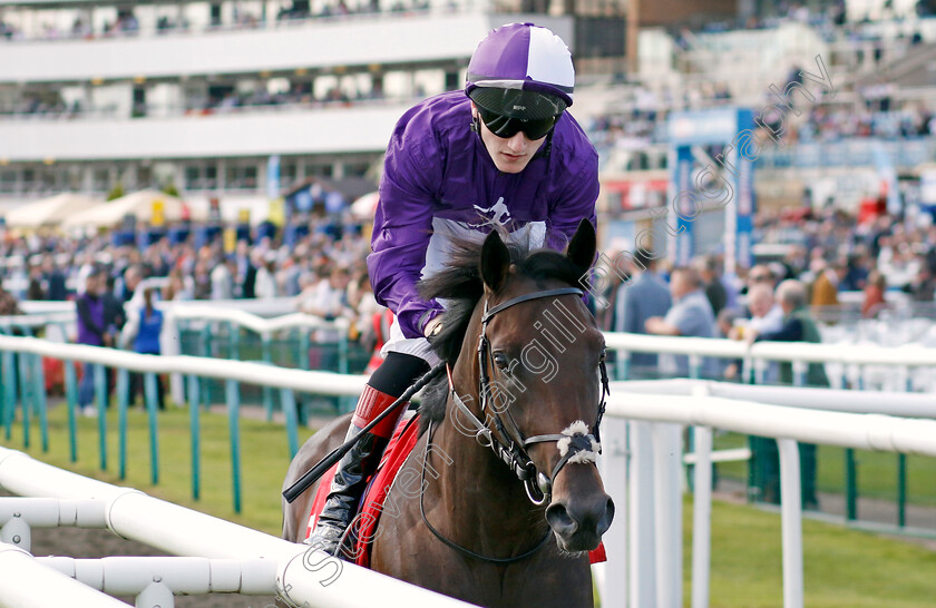 Benevento-0004 
 BENEVENTO (David Egan) winner of The Betfred Flying Scotsman Stakes
Doncaster 13 Sep 2024 - Pic Steven Cargill / Racingfotos.com