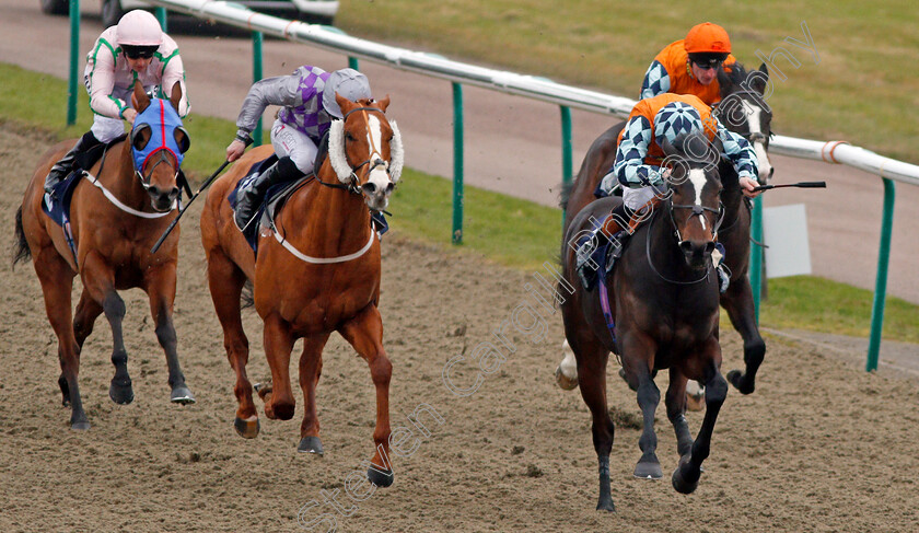 Cliffs-Of-Capri-0001 
 CLIFFS OF CAPRI (right, Dougie Costello) beats MEDICI BANCHIERE (centre) in The 32Red.com Novice Stakes Lingfield 13 Jan 2018 - Pic Steven Cargill / Racingfotos.com