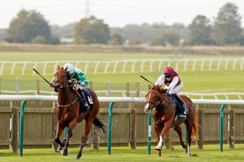 Woodhay-Wonder-0008 
 WOODHAY WONDER (P J McDonald) wins The £150,000 Tattersalls October Auction Stakes
Newmarket 7 Oct 2023 - Pic Steven Cargill / Racingfotos.com