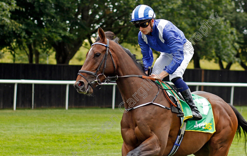 Tafreej-0001 
 TAFREEJ (Adam Farragher)
Newmarket 15 Jul 2023 - Pic Steven Cargill / Racingfotos.com